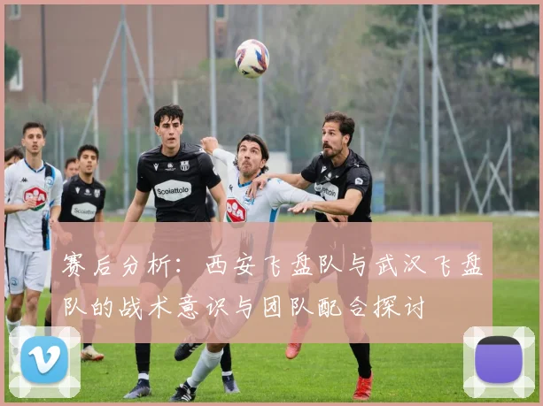 赛后分析：西安飞盘队与武汉飞盘队的战术意识与团队配合探讨