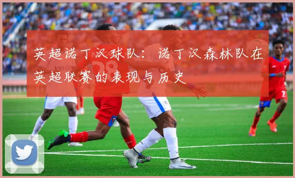 英超诺丁汉球队：诺丁汉森林队在英超联赛的表现与历史