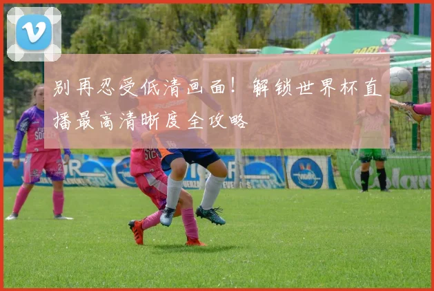 别再忍受低清画面！解锁世界杯直播最高清晰度全攻略